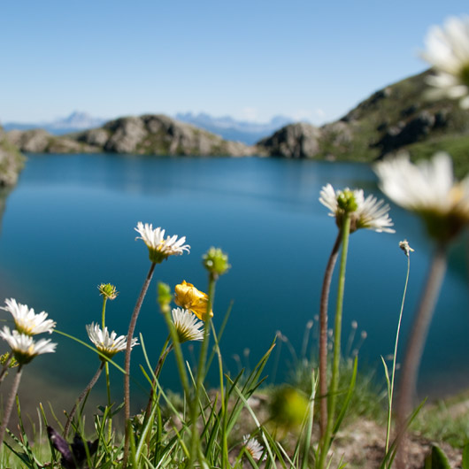 Lago grande campolago